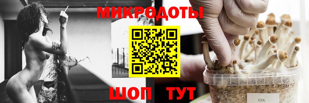 Псилоцибиновые грибы Cubensis Братск